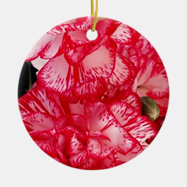 Red and White Carnations-ROUND ORNAMENT (Front)