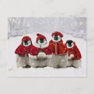 Red and White Christmas Penguins Design Holiday Postcard