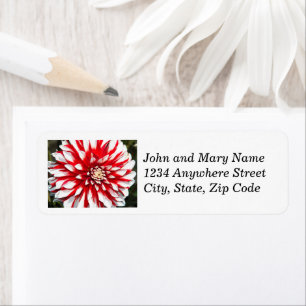 Red and White Dahlia Floral Return Address