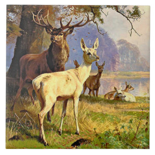 Red And White Deer Near A Forest Pond Tile