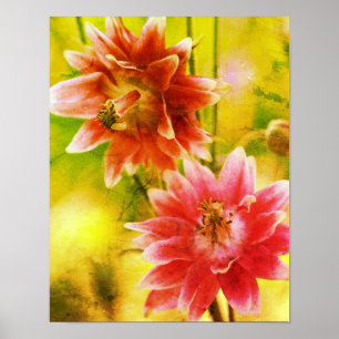 Red And White Flower Pair Distressed Art Poster