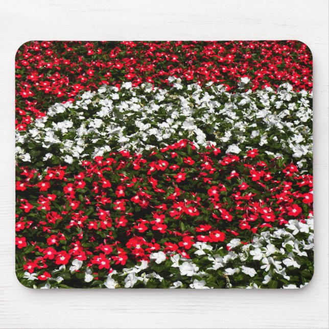 Red and White Flowers  Mouse Mat (Front)