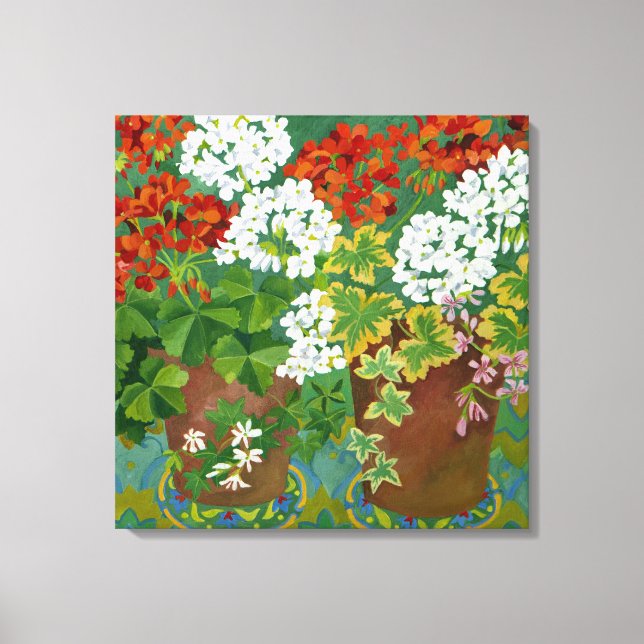 Red and white geraniums in pots 2013 canvas print (Front)