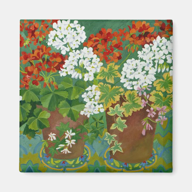 Red and white geraniums in pots 2013 magnet (Front)
