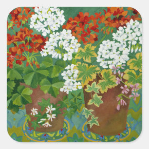 Red and white geraniums in pots 2013 square sticker