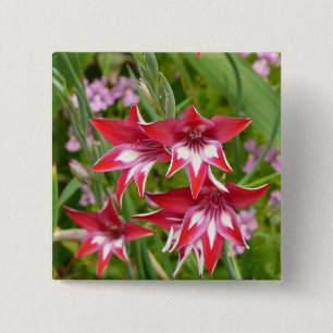 Red and White Gladiolas Summer Botanical 15 Cm Square Badge