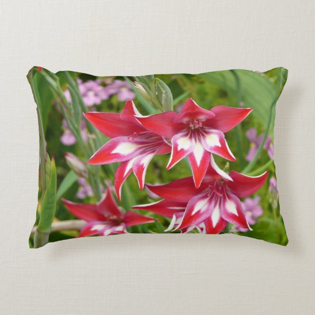 Red and White Gladiolas Summer Botanical Decorative Cushion (Front)