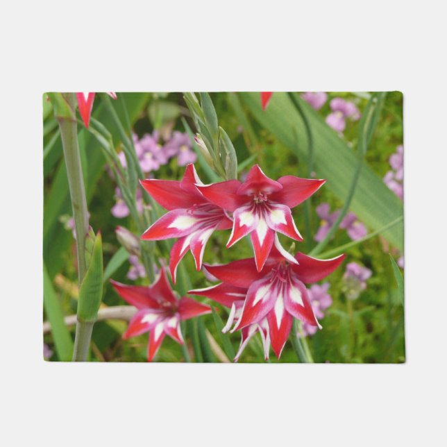 Red and White Gladiolas Summer Botanical Doormat (Front)