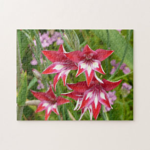Red and White Gladiolas Summer Botanical Jigsaw Puzzle