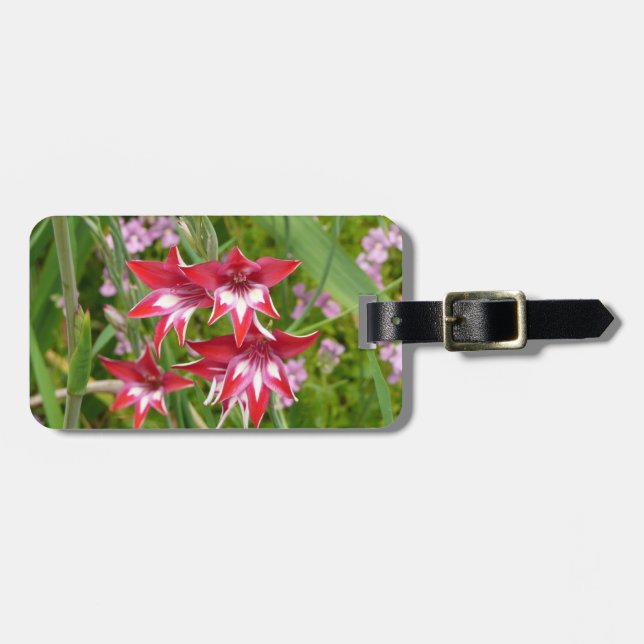 Red and White Gladiolas Summer Botanical Luggage Tag (Front Horizontal)