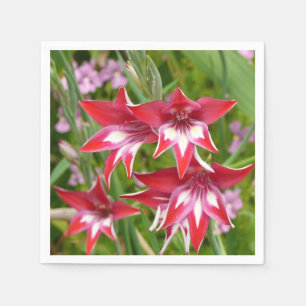 Red and White Gladiolas Summer Botanical Napkin