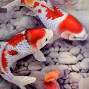 Red Koi Gifts Gift Ideas Zazzle Uk