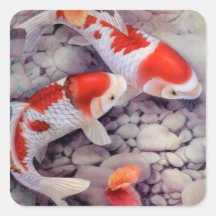 Red and White Koi Fish Pond Square Sticker