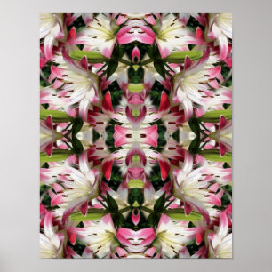 Red And White Lilies Floral Abstract  Poster