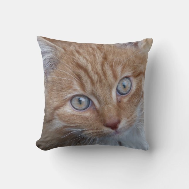 Red and White, Long-Haired, Tabby Cat Face Cushion (Front)