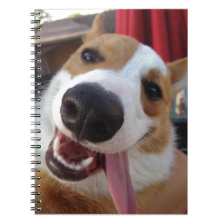 Red and White Pembroke Welsh Corgi Notebook