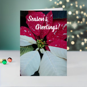 Red and White Poinsettia Floral Foil Holiday Card