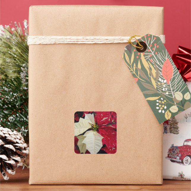 Red and White Poinsettia Holiday Square Sticker (Holiday)