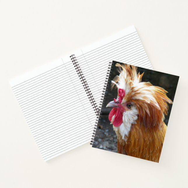 Red and White Polish Chicken Notebook (Inside)