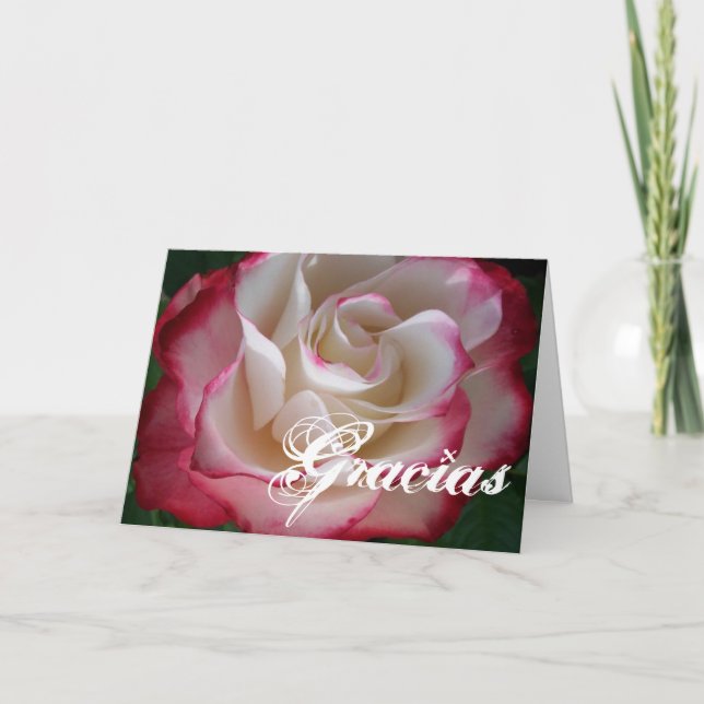 Red and White Rose Gracias Thank You Card (Front)
