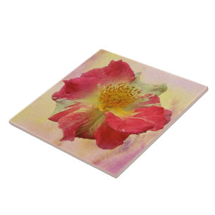 Red and White Rose Tile
