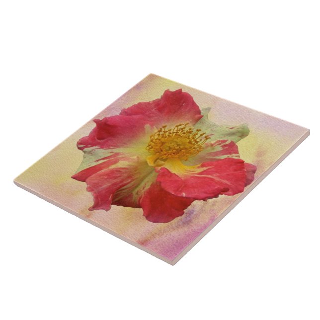 Red and White Rose Tile (Side)