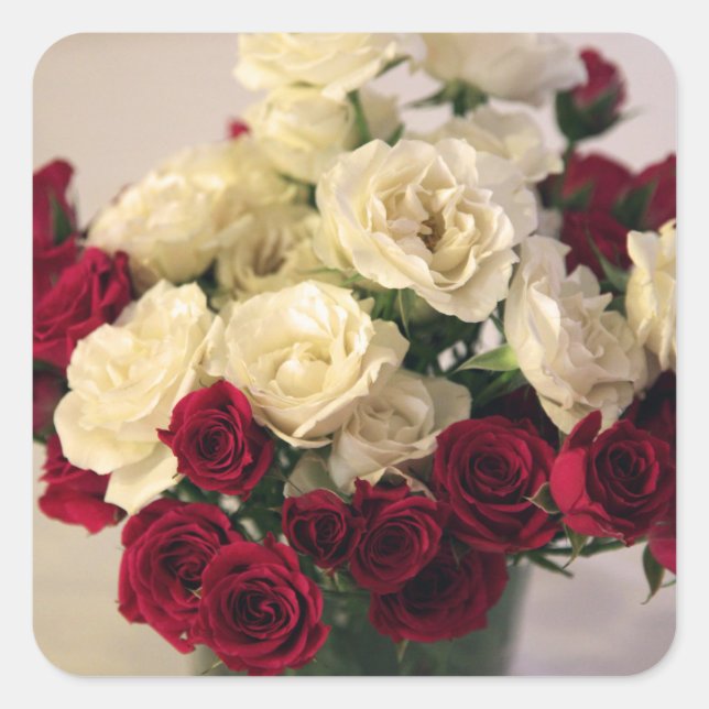 Red and white roses square sticker (Front)