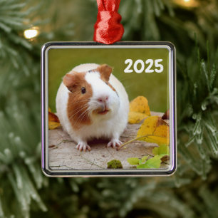 Red and White Smooth Guinea Pig  Metal Tree Decoration