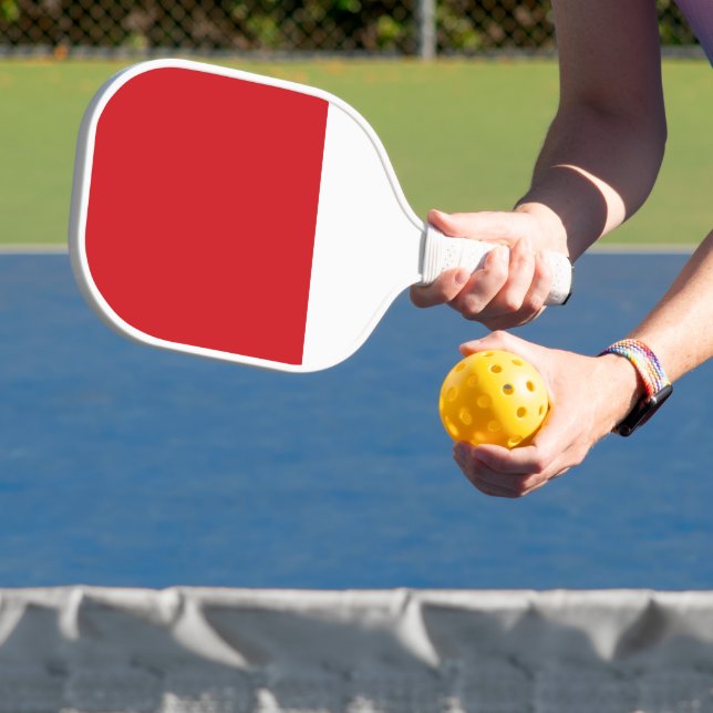 Red and white stripe pickleball paddle (Insitu)