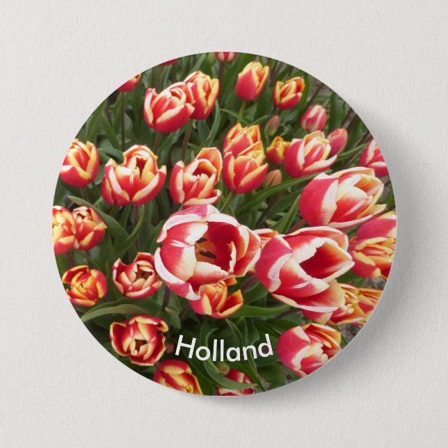 Red and White Tulip Field Holland Button (Front)