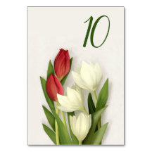 Red and White Tulips Floral Table Number