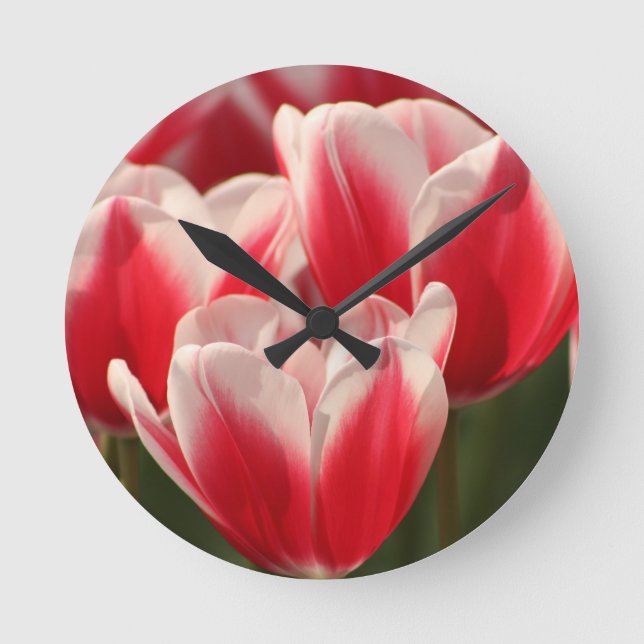 Red and White Tulips Round Clock (Front)
