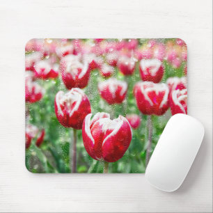 Red and White Tulips With Raindrops Mouse Mat