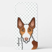 Red And White Wire Haired Ibizan Hound Dog & Name