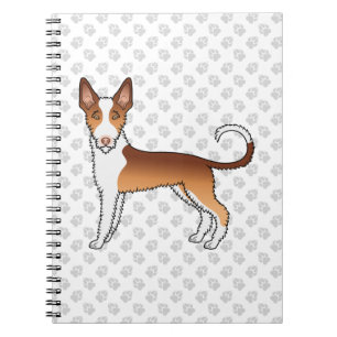 Red And White Wire Haired Ibizan Hound Dog & Paws Notebook