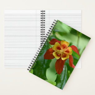 Red and Yellow Bicolor Columbine Floral Notebook