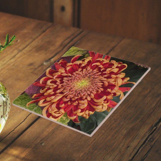 Red and Yellow Chrysanthemum Floral Tile (In Situ)