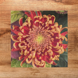 Red and Yellow Chrysanthemum Floral Tile