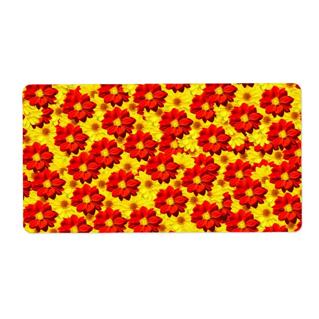 Red and yellow dahlia flowers  (Front)