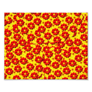 Red and yellow dahlia flowers photo print