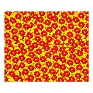 Red and yellow dahlia flowers photo print