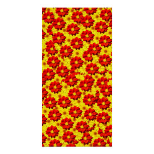 Red and yellow dahlia flowers poster