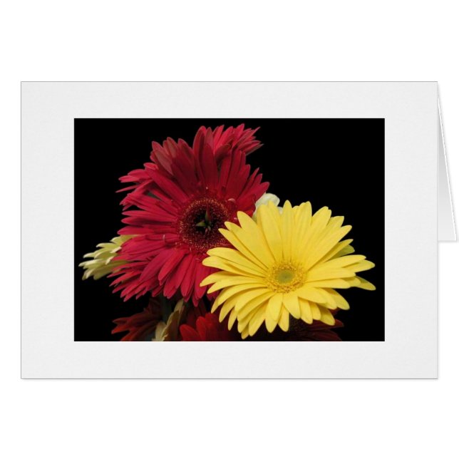Red and Yellow Dahlias" (Front Horizontal)