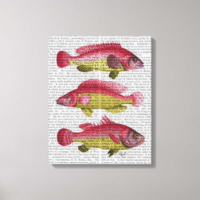 Red and Yellow Fantasy Fish Trio Canvas Print (Front)
