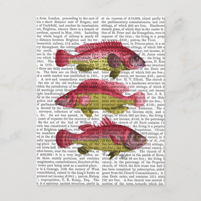 Red and Yellow Fantasy Fish Trio Postcard (Front)