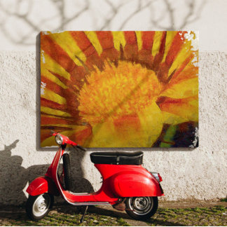 Red and Yellow Gazania Acrylic Painting Canvas Print