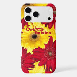 Red and Yellow Gerber Daisy Photograph