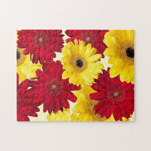 Red and Yellow Gerber Daisy Photograph Jigsaw Puzzle
