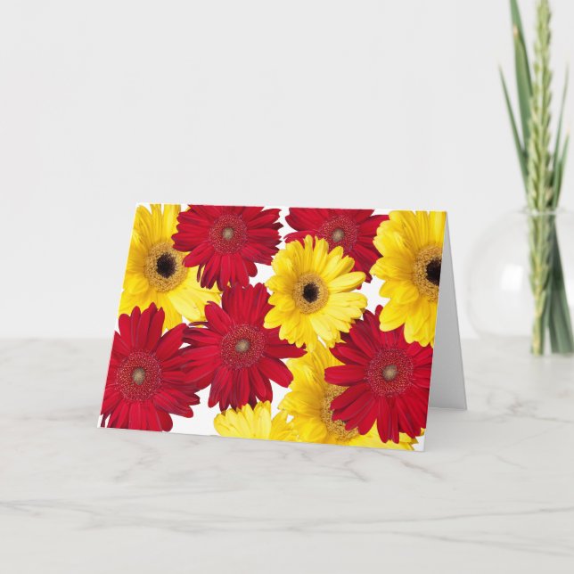 Red and Yellow Gerber Daisy Photos Personalised Card (Front)