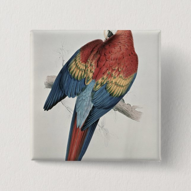 Red and Yellow Macaw 15 Cm Square Badge (Front)